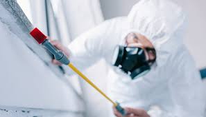 Best Pest Exclusion Services  in Hampton Manor, NY